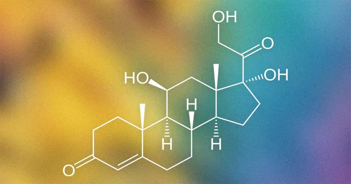 469243928_3677410935809771_4742564719930292745_n