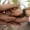 home-1-8.webp